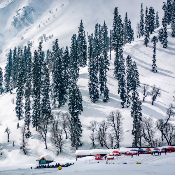 Logo - Skigulmarg.com 
